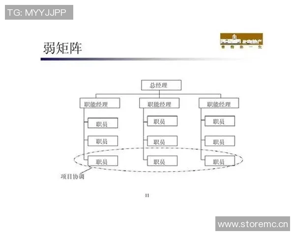武汉篮球队运营体系解析与战术创新研究 武汉篮球队运营体系解析与战术创新研究